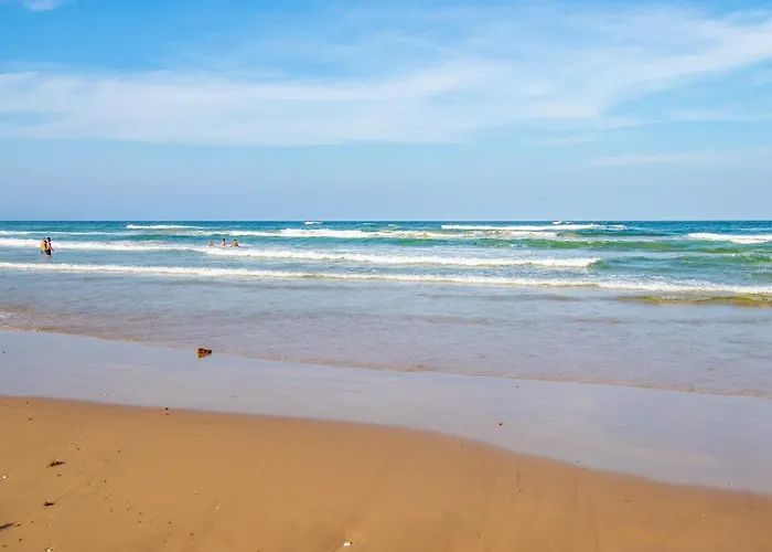 Seagull\'S Landing By The Ocean